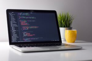 Developer performing WordPress website maintenance and updates